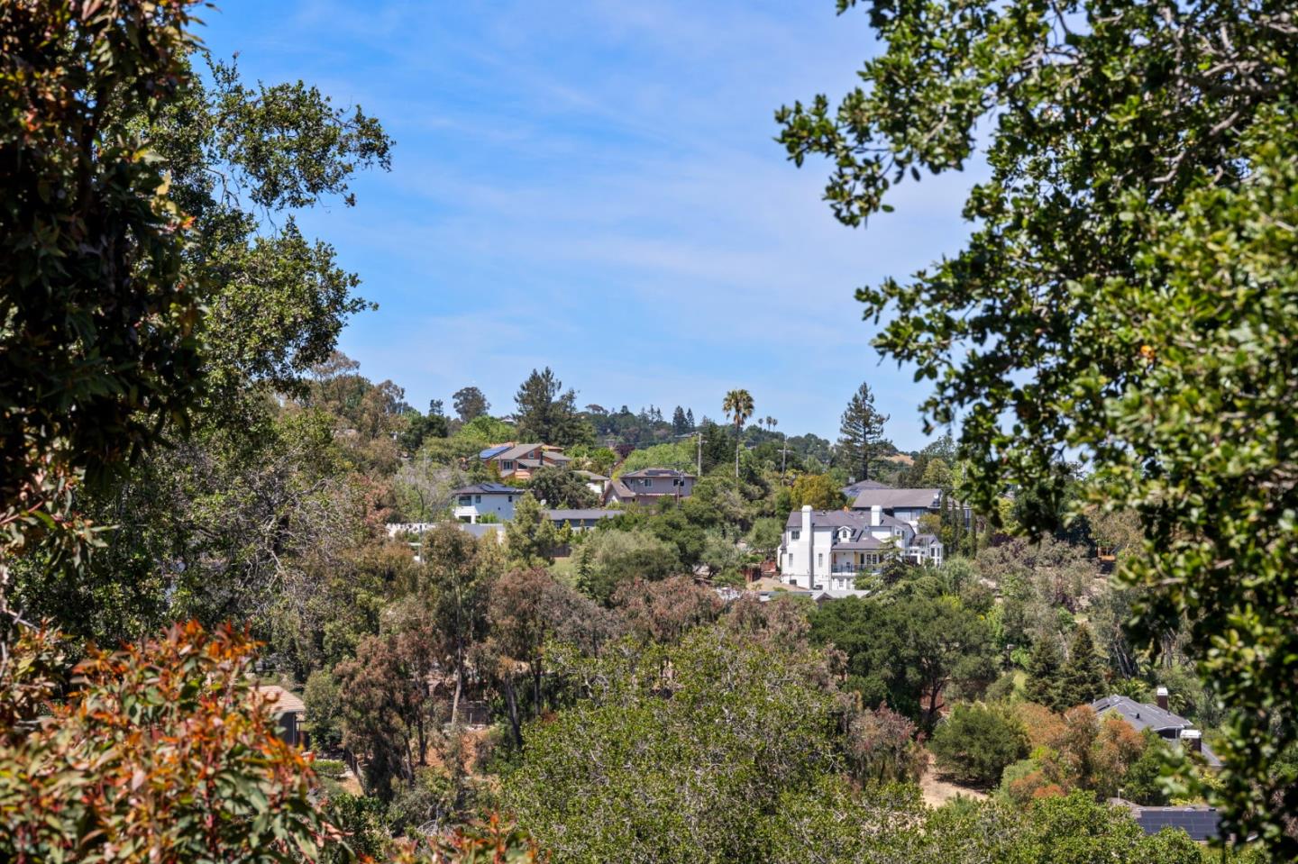 Detail Gallery Image 84 of 111 For 3554 Oak Knoll Dr, Redwood City,  CA 94062 - 3 Beds | 2/1 Baths