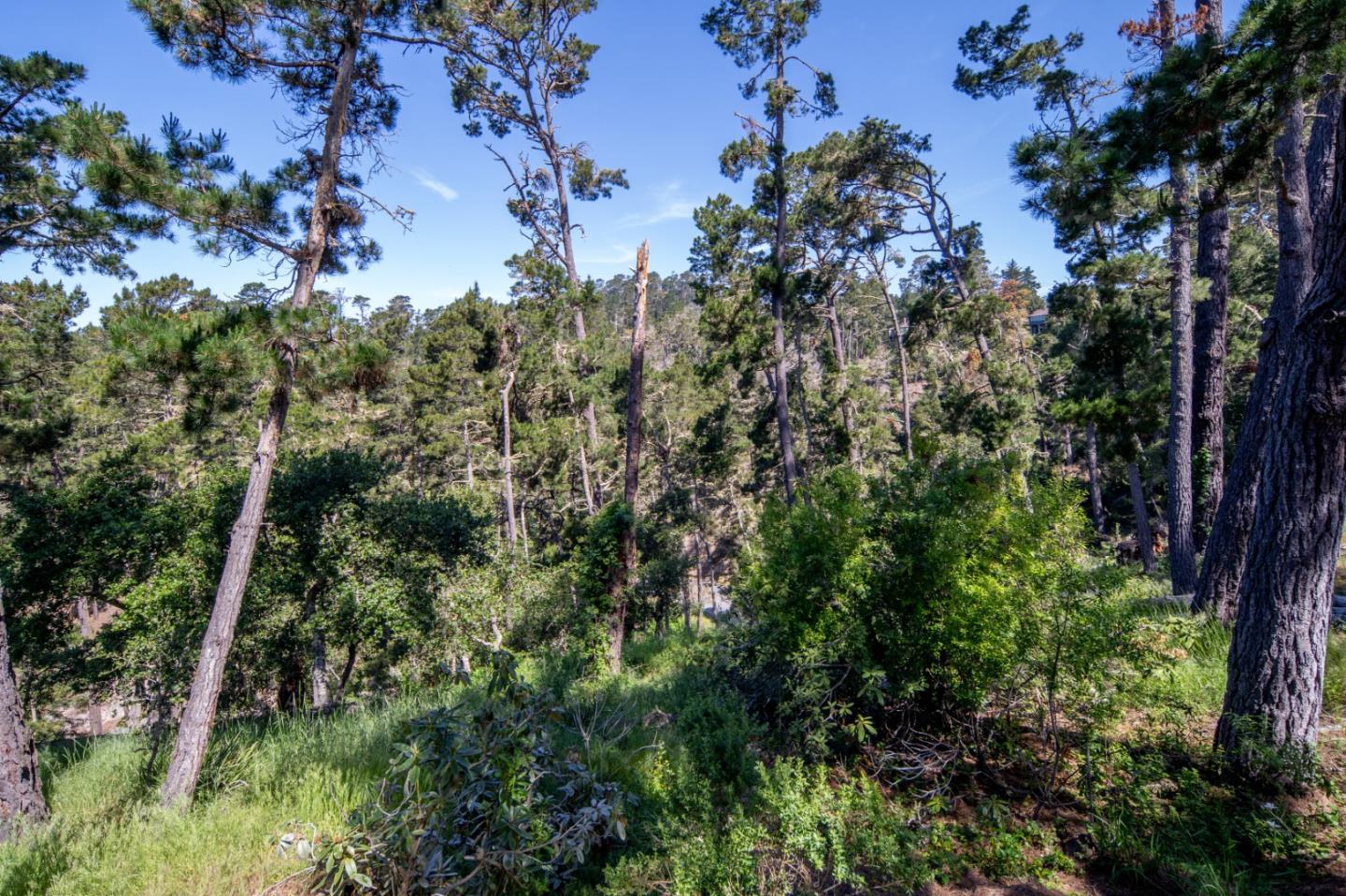Detail Gallery Image 33 of 33 For 134 Del Mesa Carmel, Carmel,  CA 93923 - 2 Beds | 2 Baths