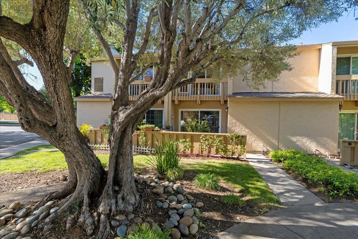 Detail Gallery Image 3 of 20 For 125 Connemara Way #16,  Sunnyvale,  CA 94087 - 2 Beds | 1/1 Baths