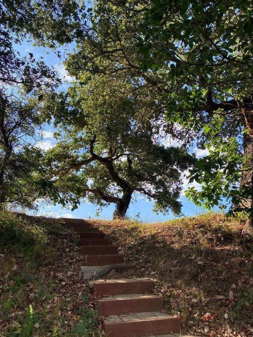 Detail Gallery Image 25 of 39 For 37783 Palo Colorado Rd, Carmel,  CA 93923 - – Beds | – Baths
