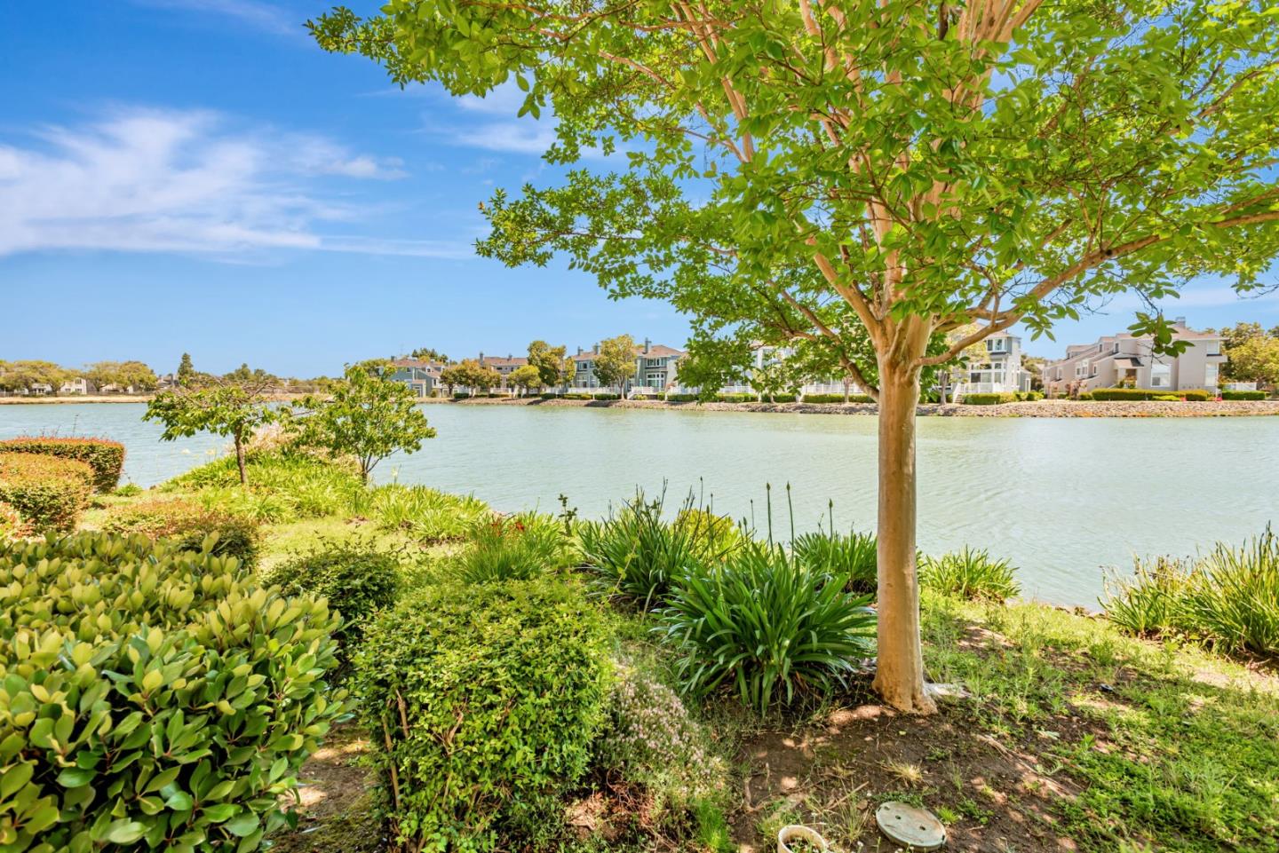 Detail Gallery Image 42 of 49 For 1000 Davit Ln #126,  Redwood Shores,  CA 94065 - 2 Beds | 2 Baths