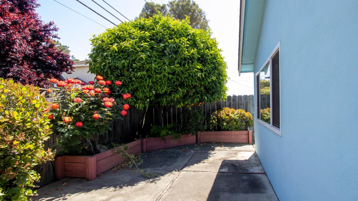 Detail Gallery Image 32 of 34 For 602 Chesterton Ave, Belmont,  CA 94002 - 3 Beds | 2 Baths