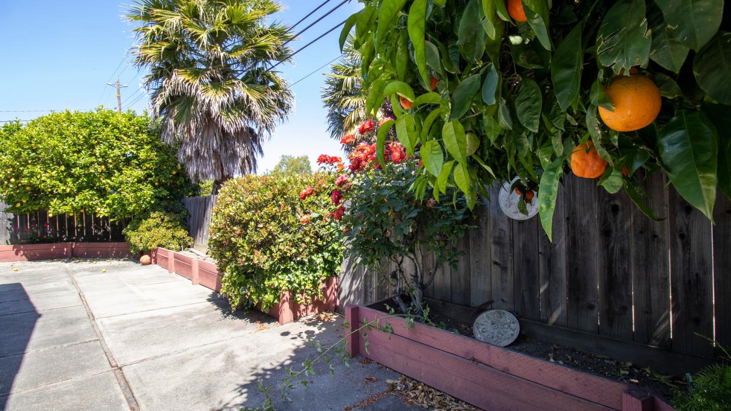 Detail Gallery Image 33 of 34 For 602 Chesterton Ave, Belmont,  CA 94002 - 3 Beds | 2 Baths