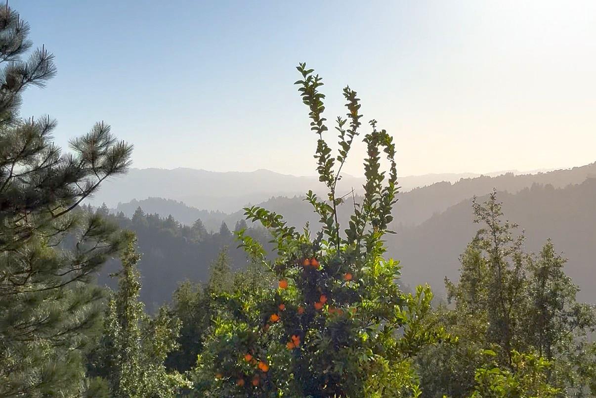 Detail Gallery Image 6 of 67 For 1315 Sunset Ridge Rd, Los Gatos,  CA 95033 - 4 Beds | 2 Baths