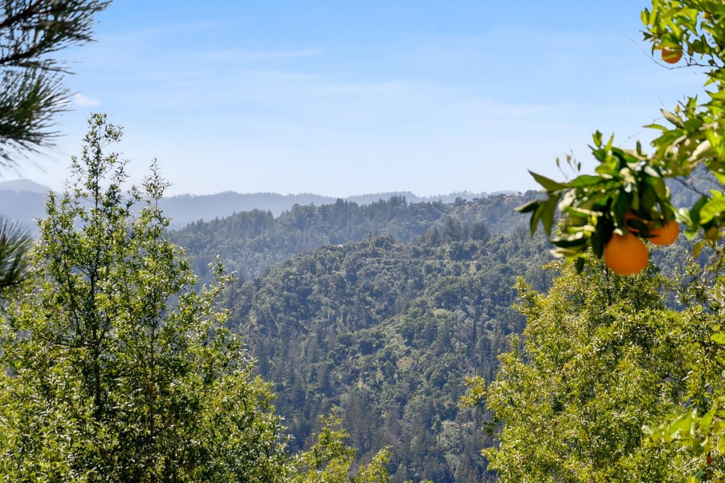 Detail Gallery Image 67 of 67 For 1315 Sunset Ridge Rd, Los Gatos,  CA 95033 - 4 Beds | 2 Baths