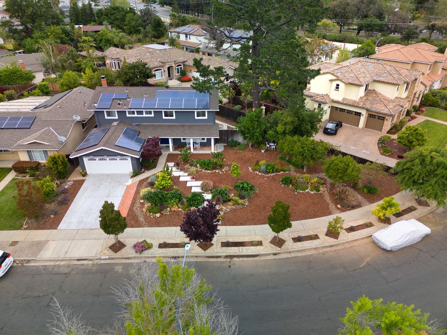 Detail Gallery Image 2 of 49 For 1131 Carla, San Jose,  CA 95120 - 7 Beds | 2/1 Baths