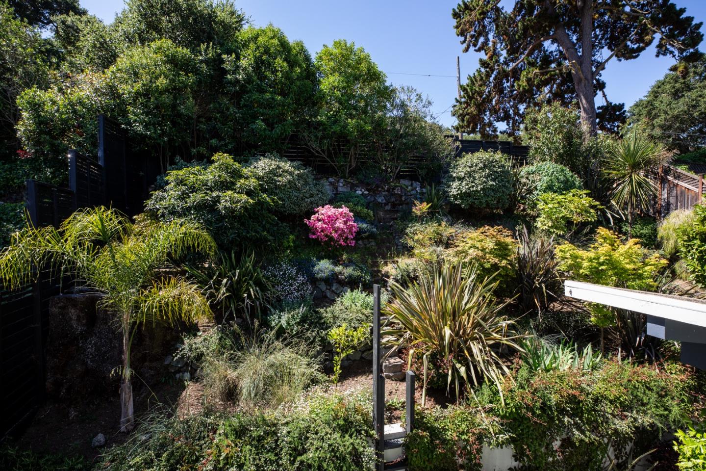 Detail Gallery Image 28 of 29 For 7 Phillip Ln, San Carlos,  CA 94070 - 3 Beds | 2 Baths