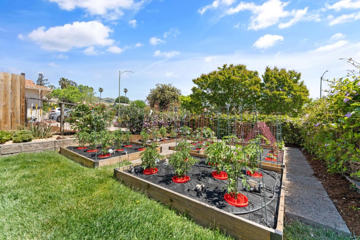 Detail Gallery Image 6 of 29 For 3173 Hostetter Rd, San Jose,  CA 95132 - 3 Beds | 2 Baths