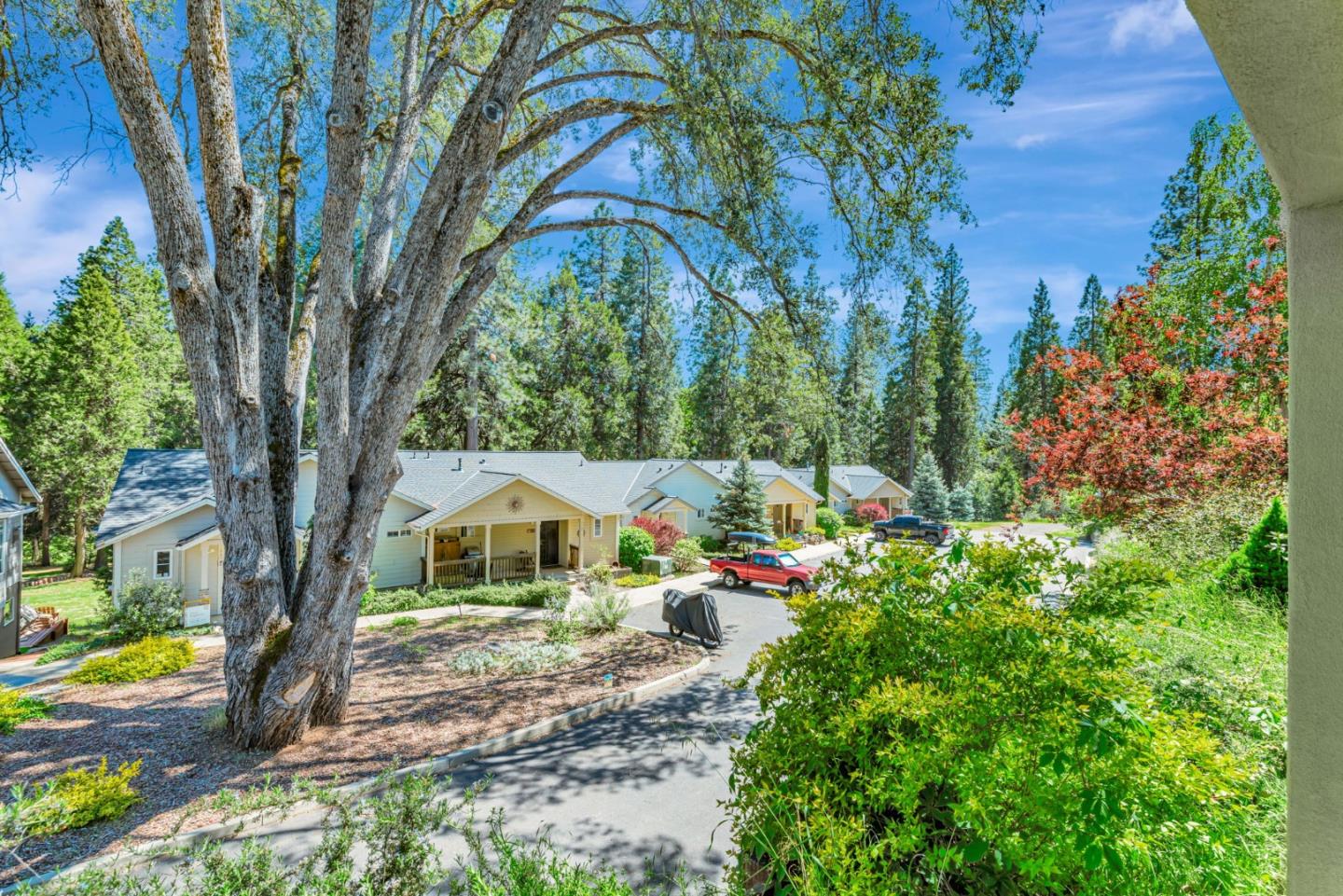 Detail Gallery Image 39 of 62 For 115 Fairway Village Ct, Murphys,  CA 95247 - 3 Beds | 3 Baths