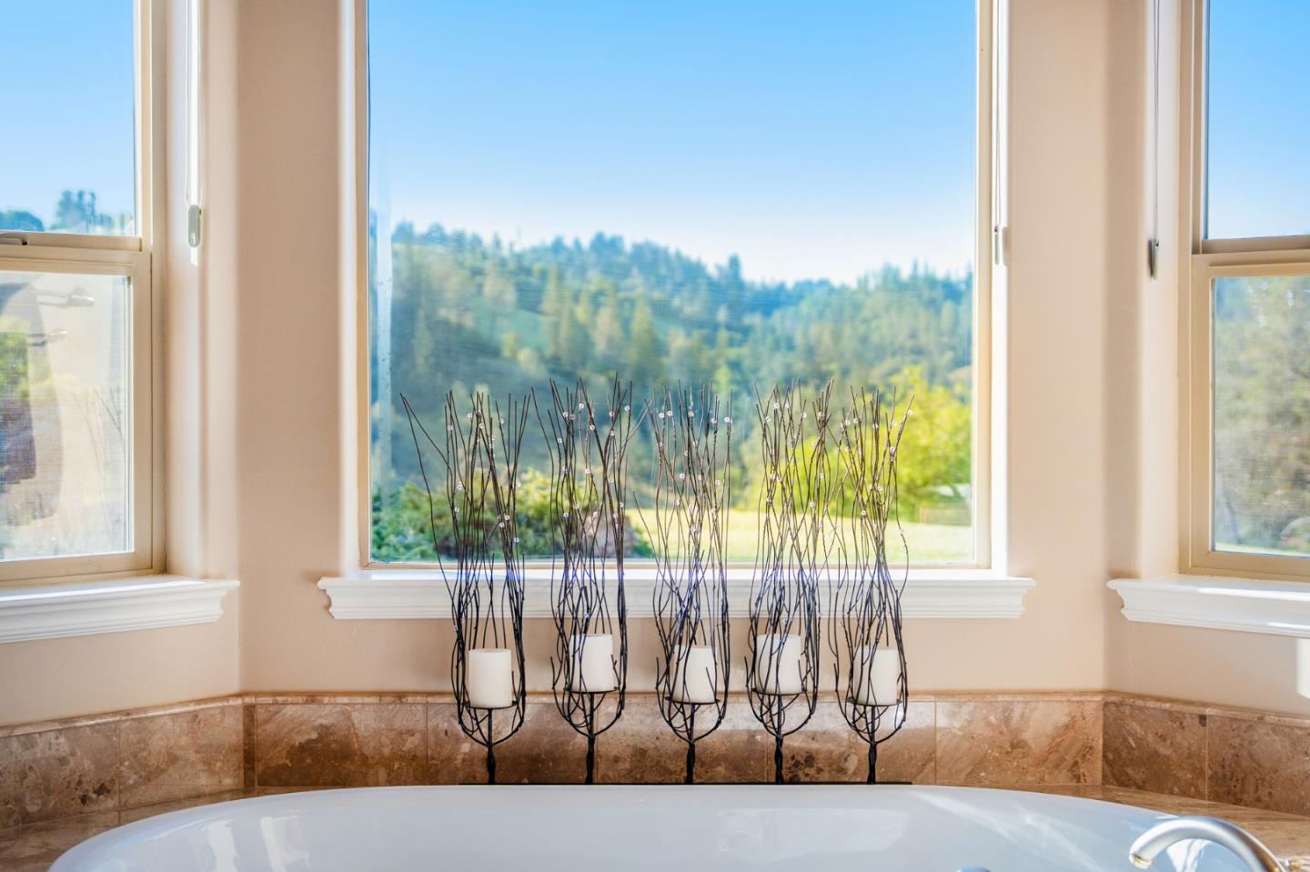 Detail Gallery Image 16 of 56 For 5500 Rio Cascada, Greenwood,  CA 95635 - 4 Beds | 4 Baths