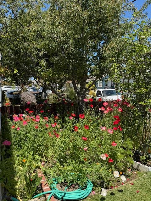 Detail Gallery Image 5 of 26 For 129 Rodeo Ave, Salinas,  CA 93906 - 2 Beds | 1 Baths
