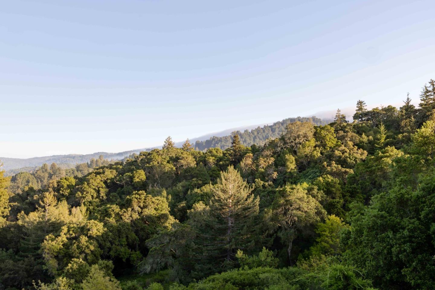 Detail Gallery Image 43 of 53 For 835 La Honda Rd, Woodside,  CA 94062 - 5 Beds | 5/2 Baths