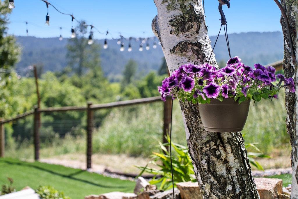 Detail Gallery Image 41 of 51 For 6443 E Zayante Rd, Felton,  CA 95018 - 3 Beds | 3 Baths
