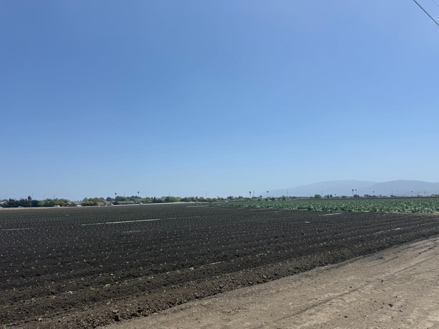 Detail Gallery Image 5 of 16 For 1202 Castroville Rd, Salinas,  CA 93907 - – Beds | – Baths
