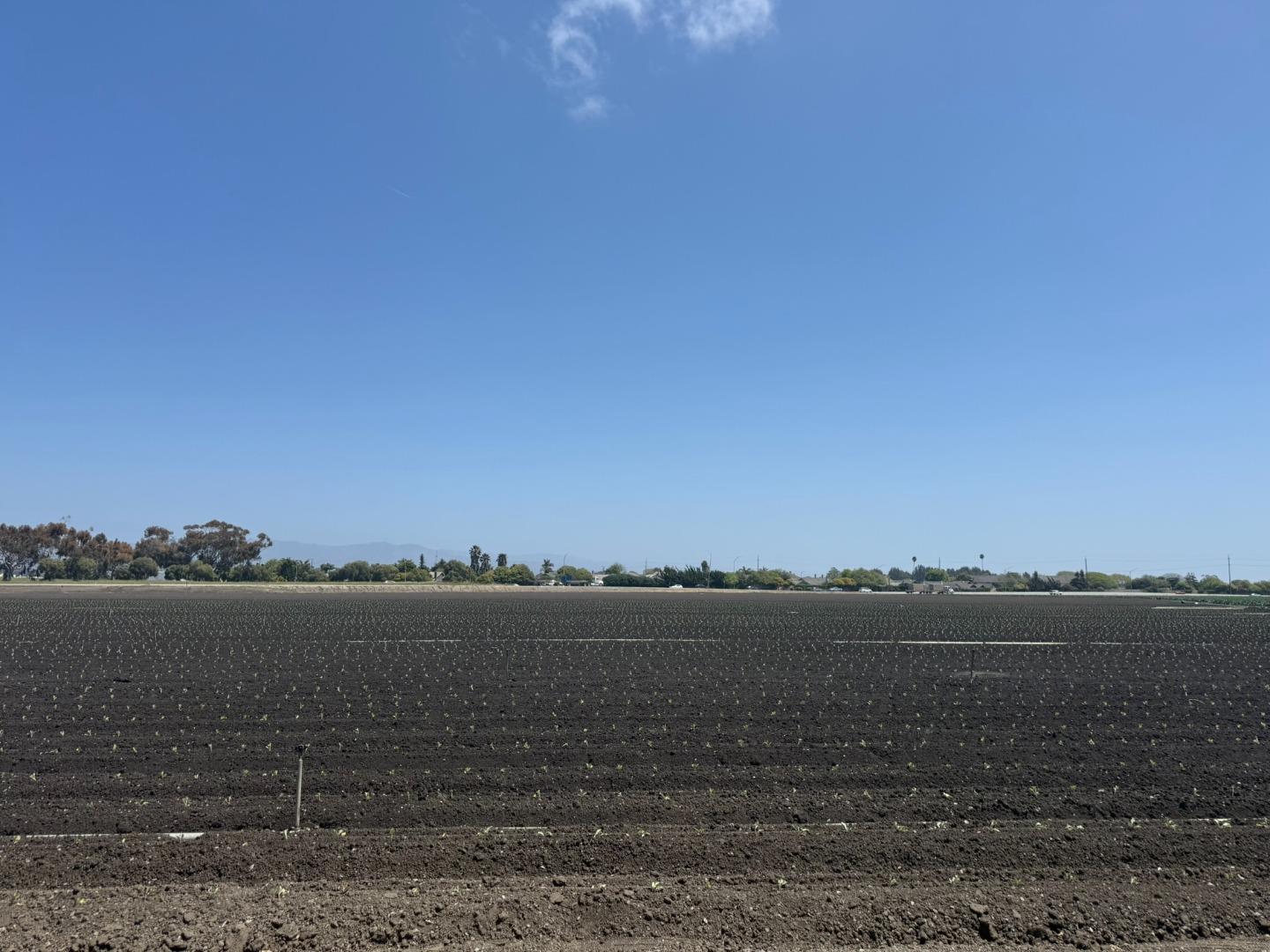 Detail Gallery Image 6 of 16 For 1202 Castroville Rd, Salinas,  CA 93907 - – Beds | – Baths