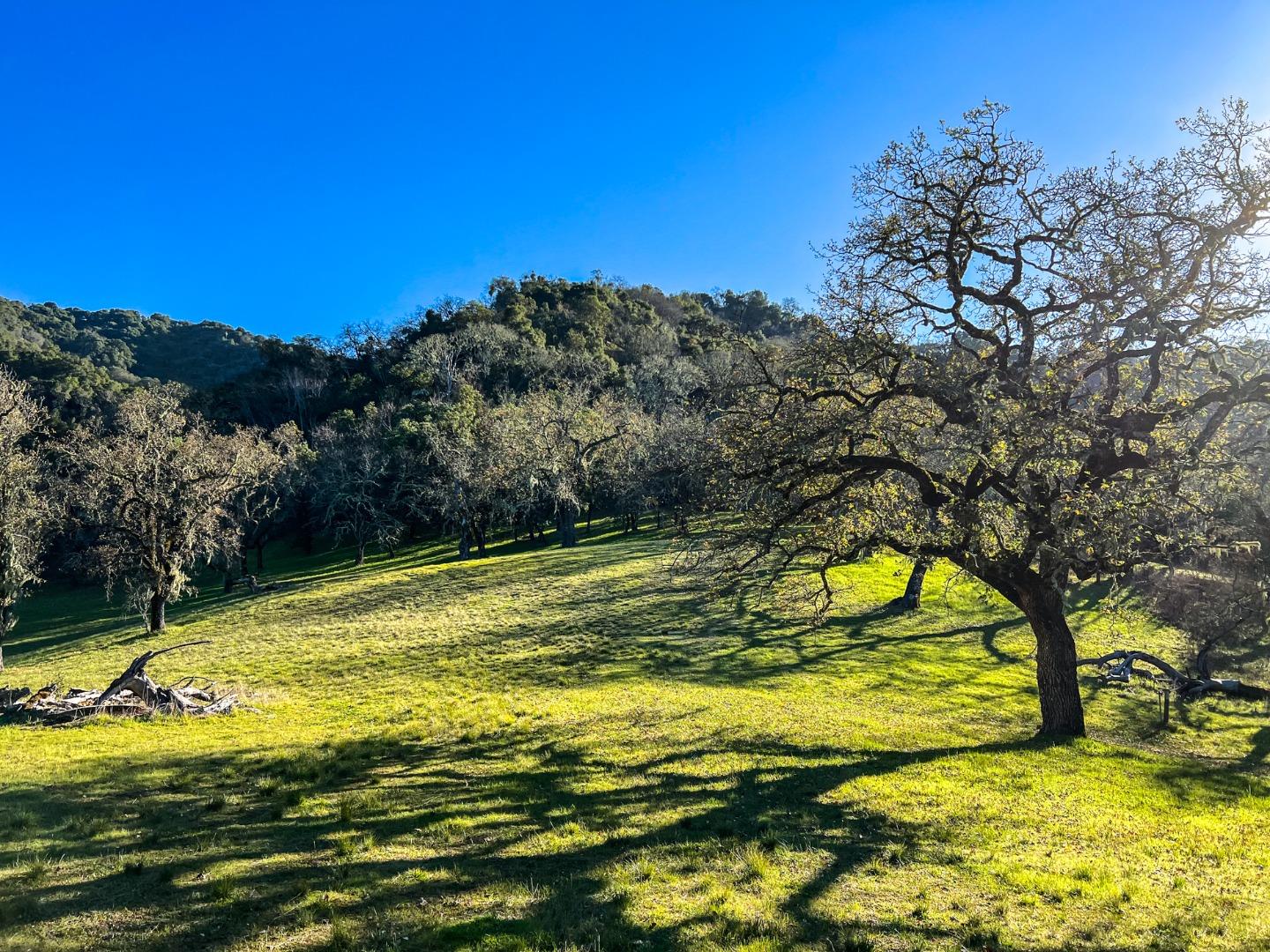 Detail Gallery Image 8 of 8 For 22 Arroyo Sequoia, Carmel,  CA 93923 - – Beds | – Baths