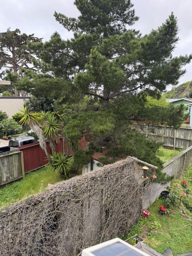 Detail Gallery Image 6 of 7 For 33 Lewis Ave, South San Francisco,  CA 94080 - – Beds | – Baths