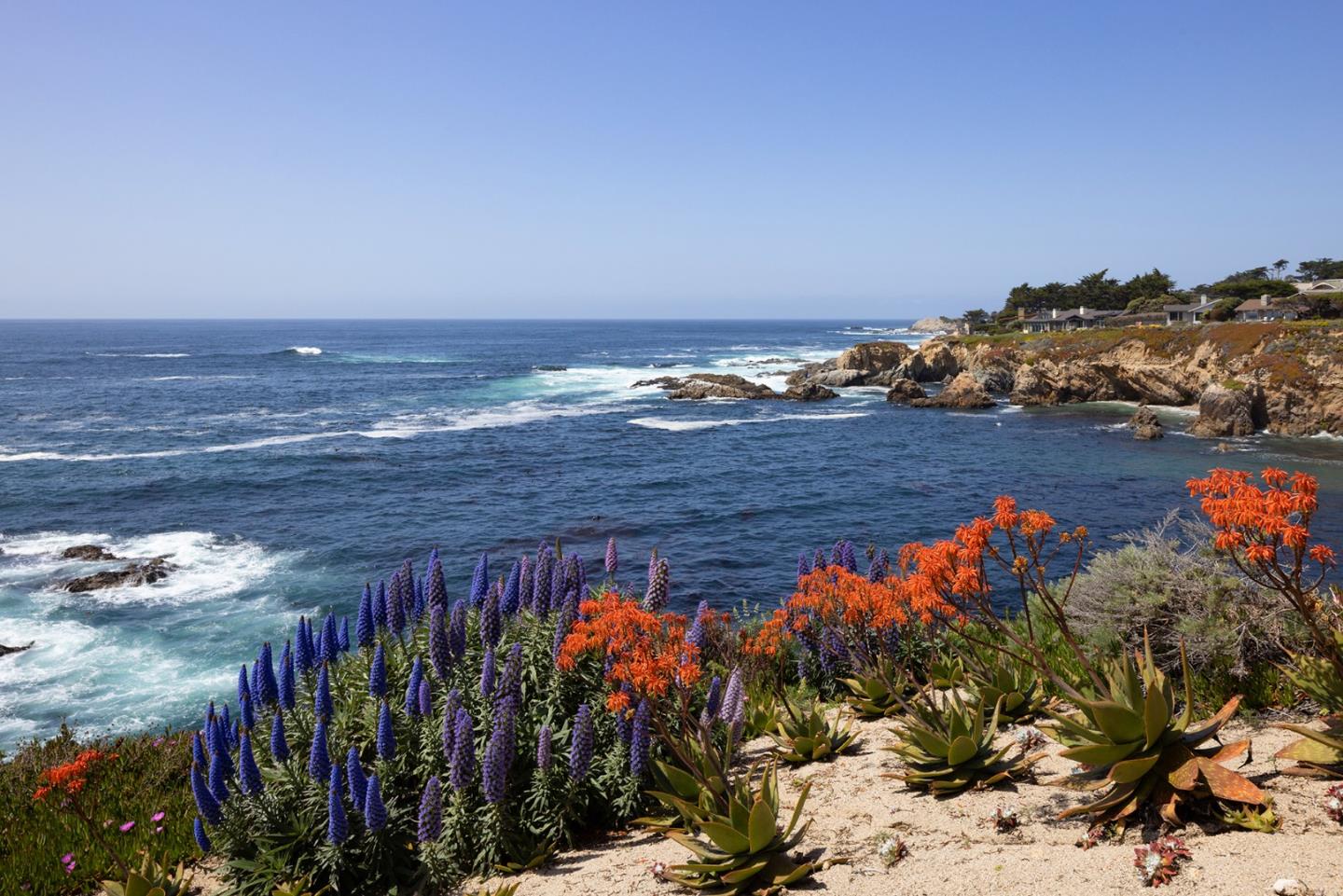 Detail Gallery Image 25 of 33 For 30530 Aurora Del Mar, Carmel,  CA 93923 - 3 Beds | 2/1 Baths