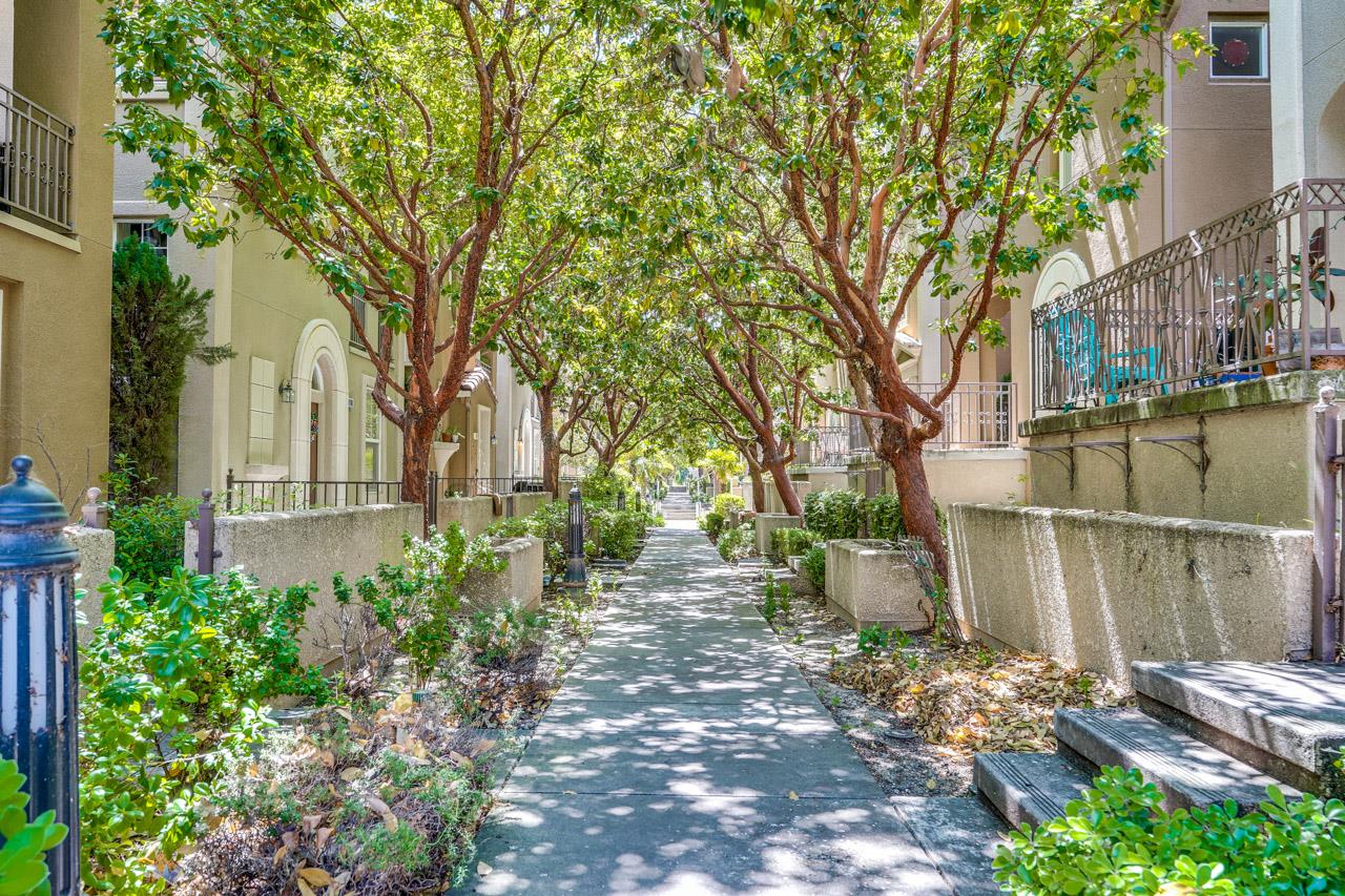 Detail Gallery Image 62 of 78 For 3068 Mary Helen Ln, San Jose,  CA 95136 - 4 Beds | 3/1 Baths