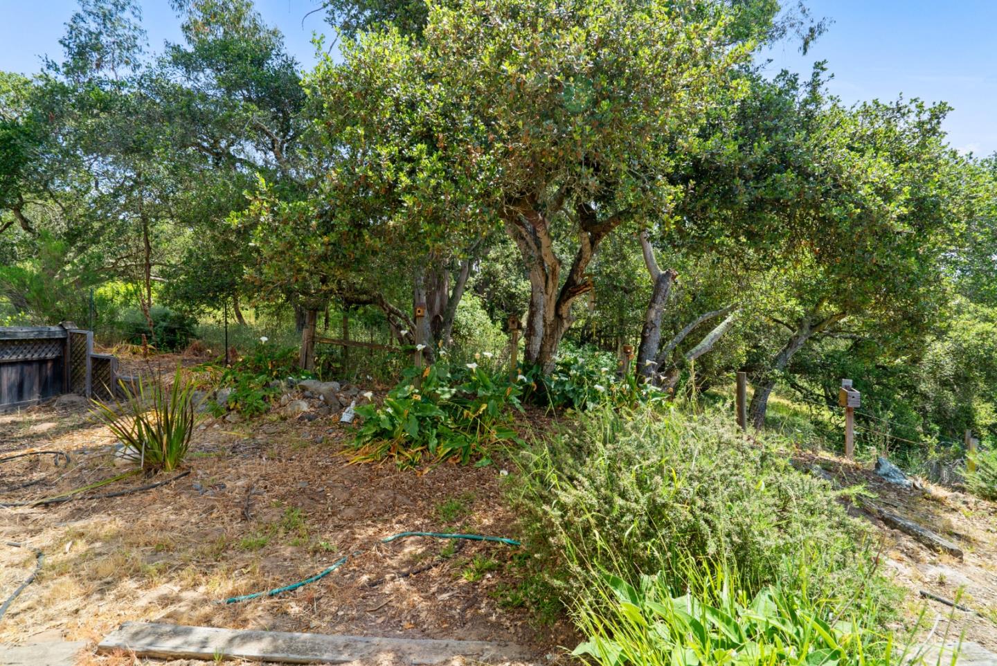 Detail Gallery Image 58 of 76 For 739 Snyder Ave, Aromas,  CA 95004 - 5 Beds | 3/1 Baths