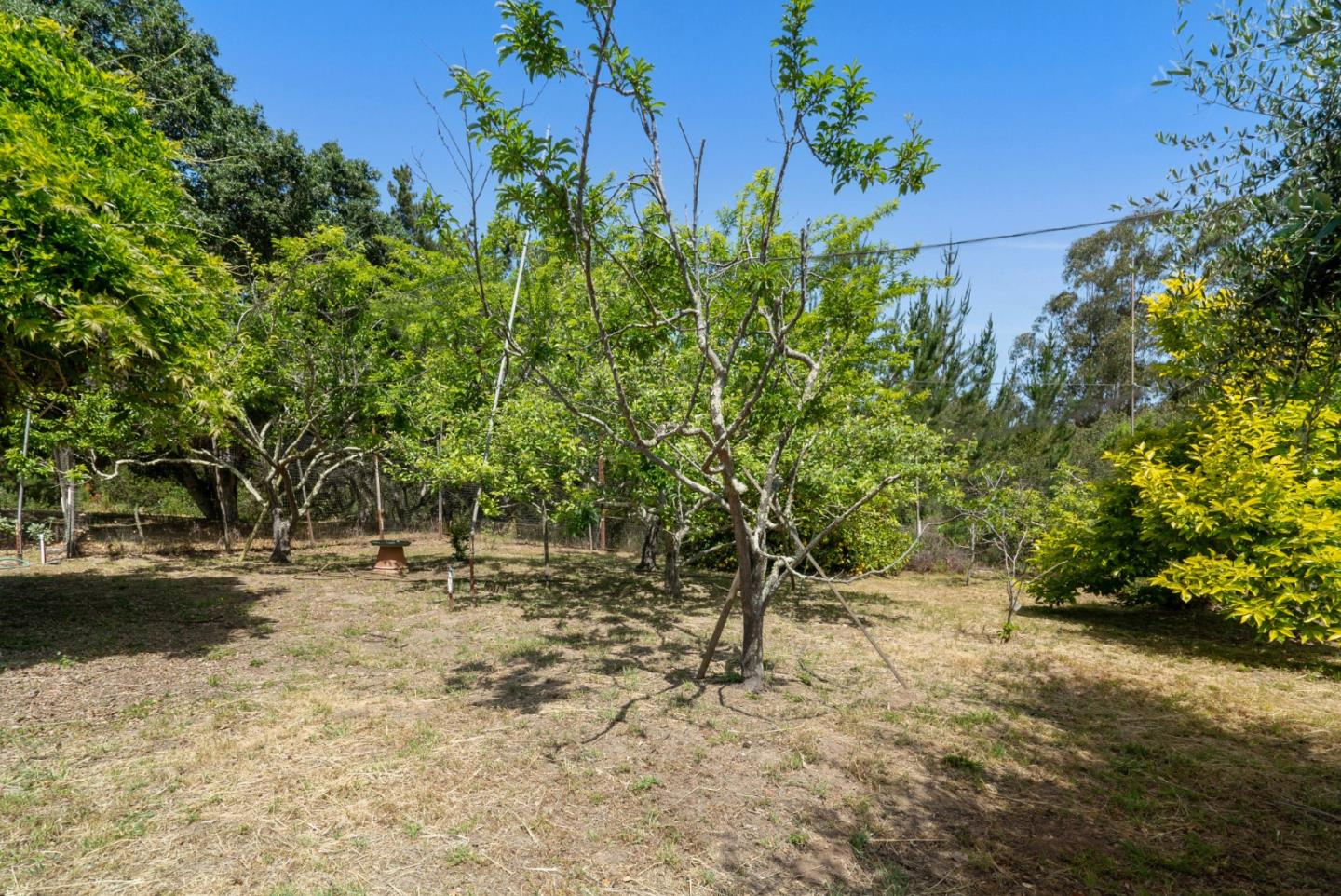 Detail Gallery Image 63 of 76 For 739 Snyder Ave, Aromas,  CA 95004 - 5 Beds | 3/1 Baths