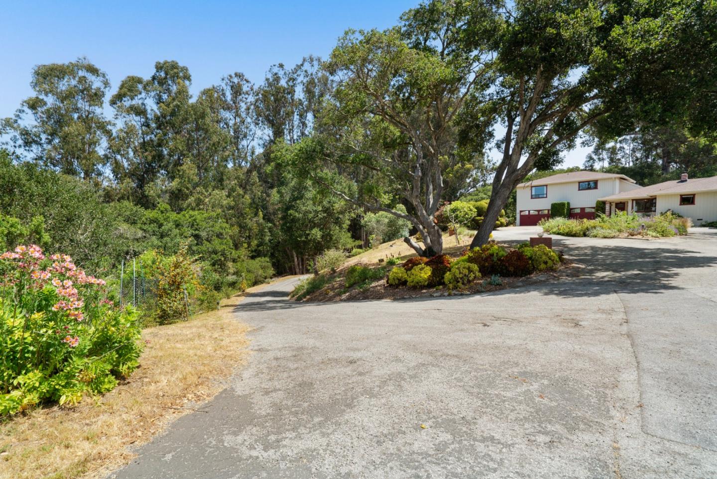 Detail Gallery Image 64 of 76 For 739 Snyder Ave, Aromas,  CA 95004 - 5 Beds | 3/1 Baths