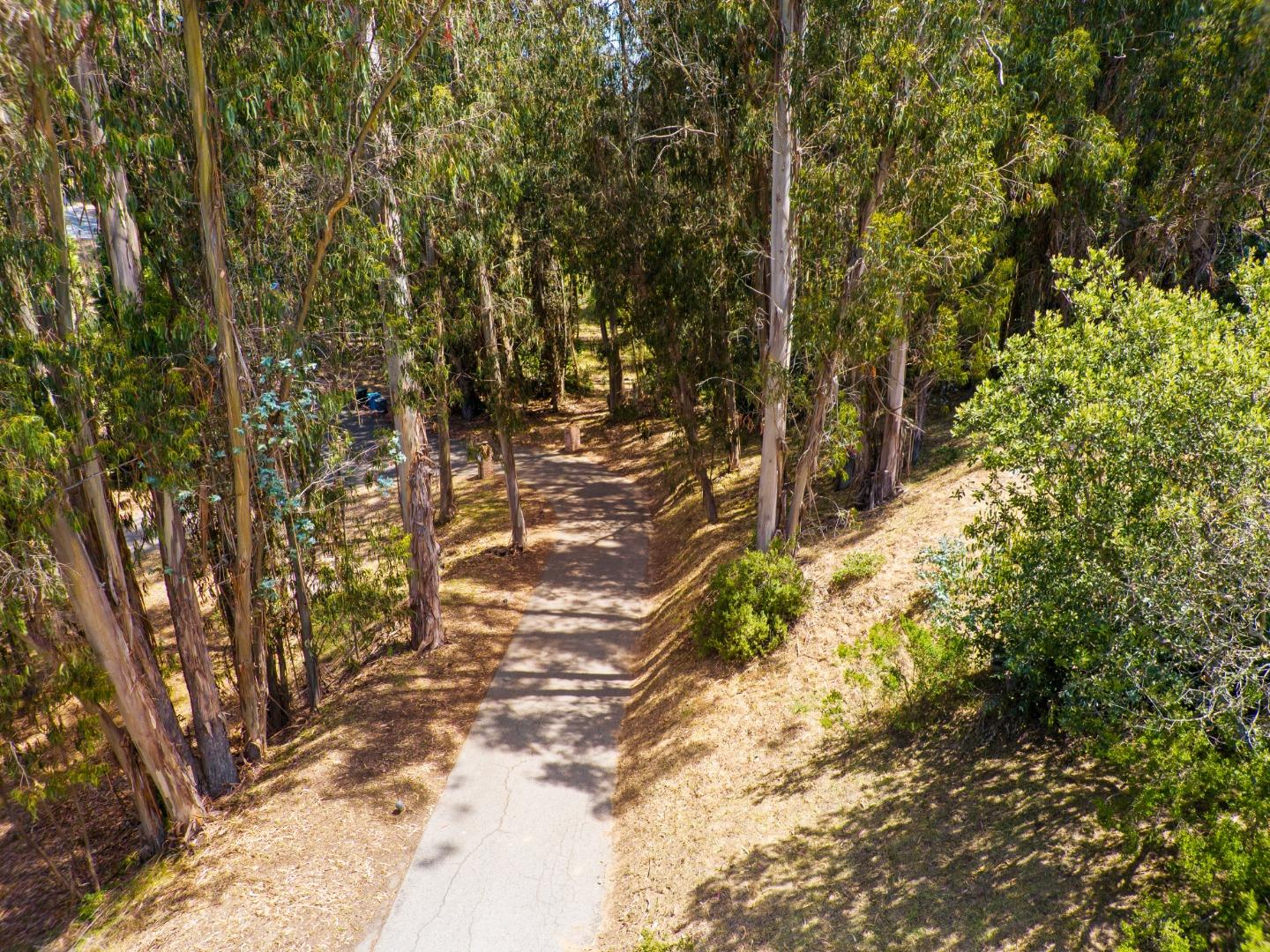 Detail Gallery Image 76 of 76 For 739 Snyder Ave, Aromas,  CA 95004 - 5 Beds | 3/1 Baths