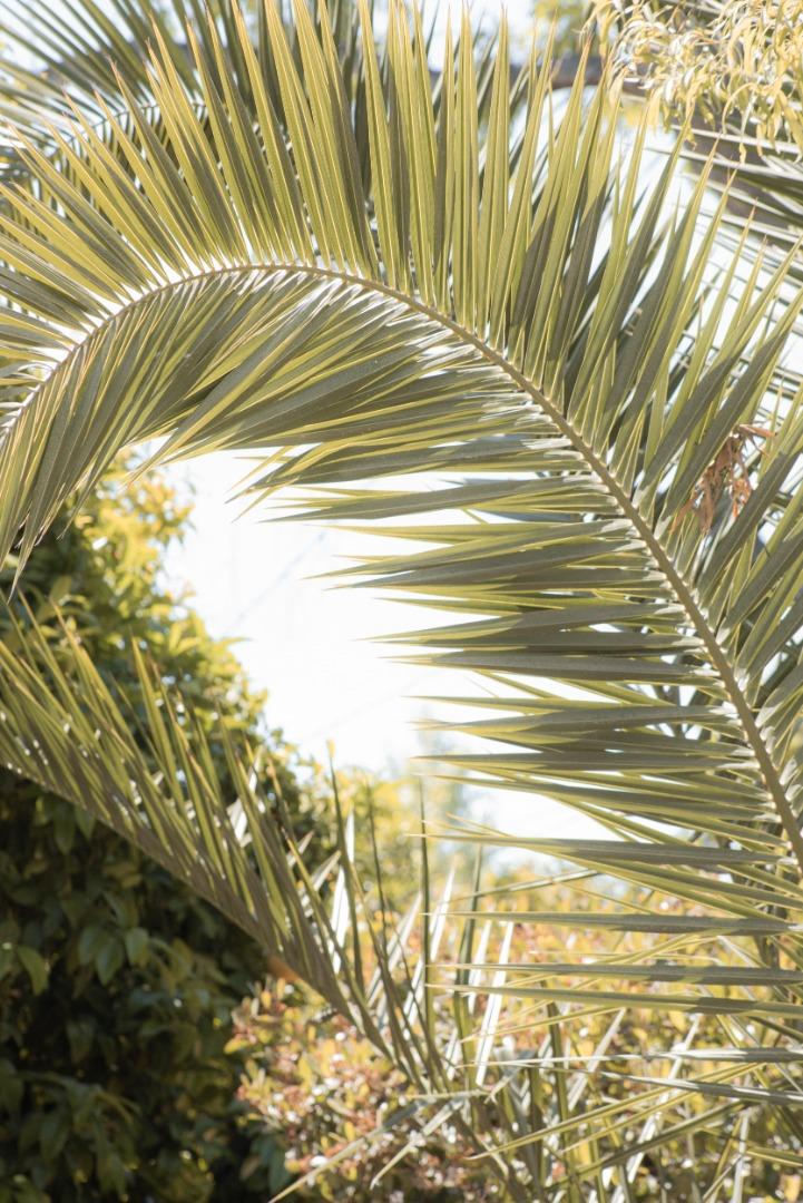 Detail Gallery Image 37 of 49 For 428 E Charleston Rd, Palo Alto,  CA 94306 - 3 Beds | 2 Baths