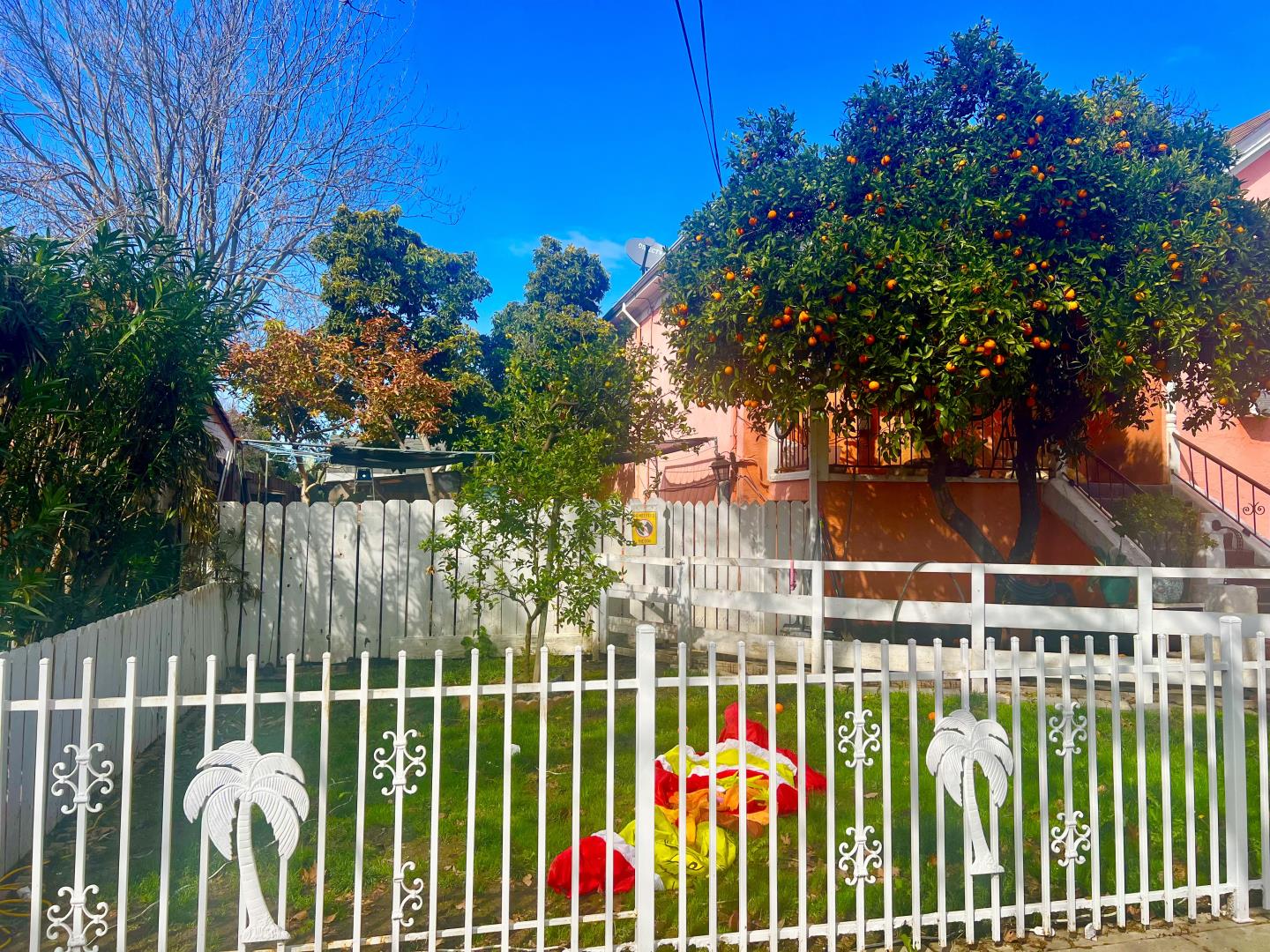 Detail Gallery Image 2 of 3 For 639 Jackson St, San Jose,  CA 95112 - – Beds | – Baths