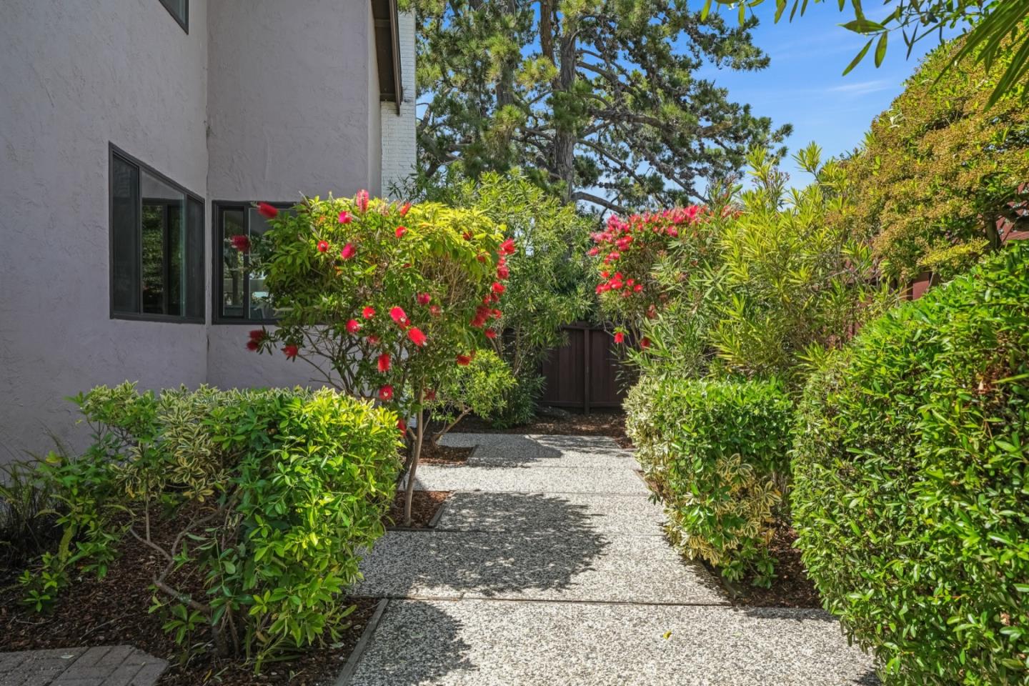 Detail Gallery Image 66 of 80 For 354 Port Royal Ave, Foster City,  CA 94404 - 4 Beds | 2/1 Baths