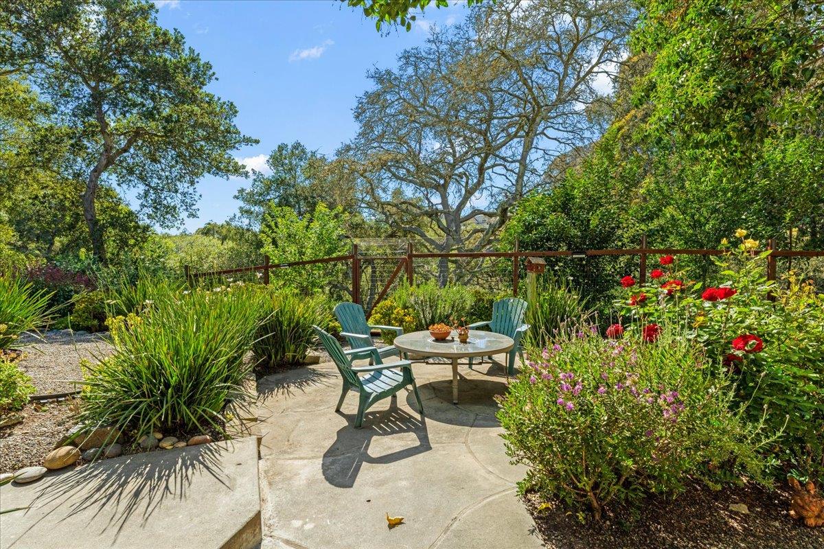Detail Gallery Image 46 of 49 For 117 Moore Creek Rd, Santa Cruz,  CA 95060 - 4 Beds | 3/1 Baths