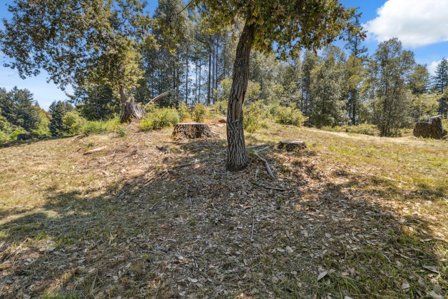 Detail Gallery Image 15 of 71 For 601 Westdale Dr, Santa Cruz,  CA 95060 - – Beds | – Baths