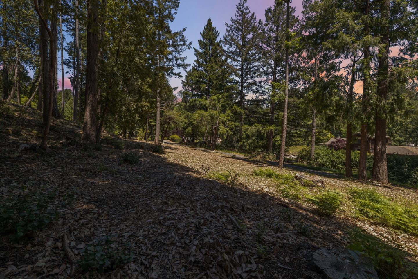 Detail Gallery Image 61 of 71 For 601 Westdale Dr, Santa Cruz,  CA 95060 - – Beds | – Baths