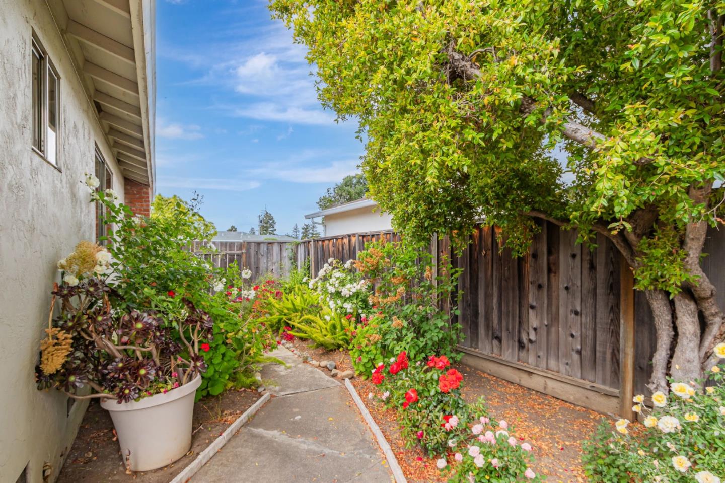 Detail Gallery Image 16 of 32 For 832 Mary Ct, Campbell,  CA 95008 - 3 Beds | 2 Baths