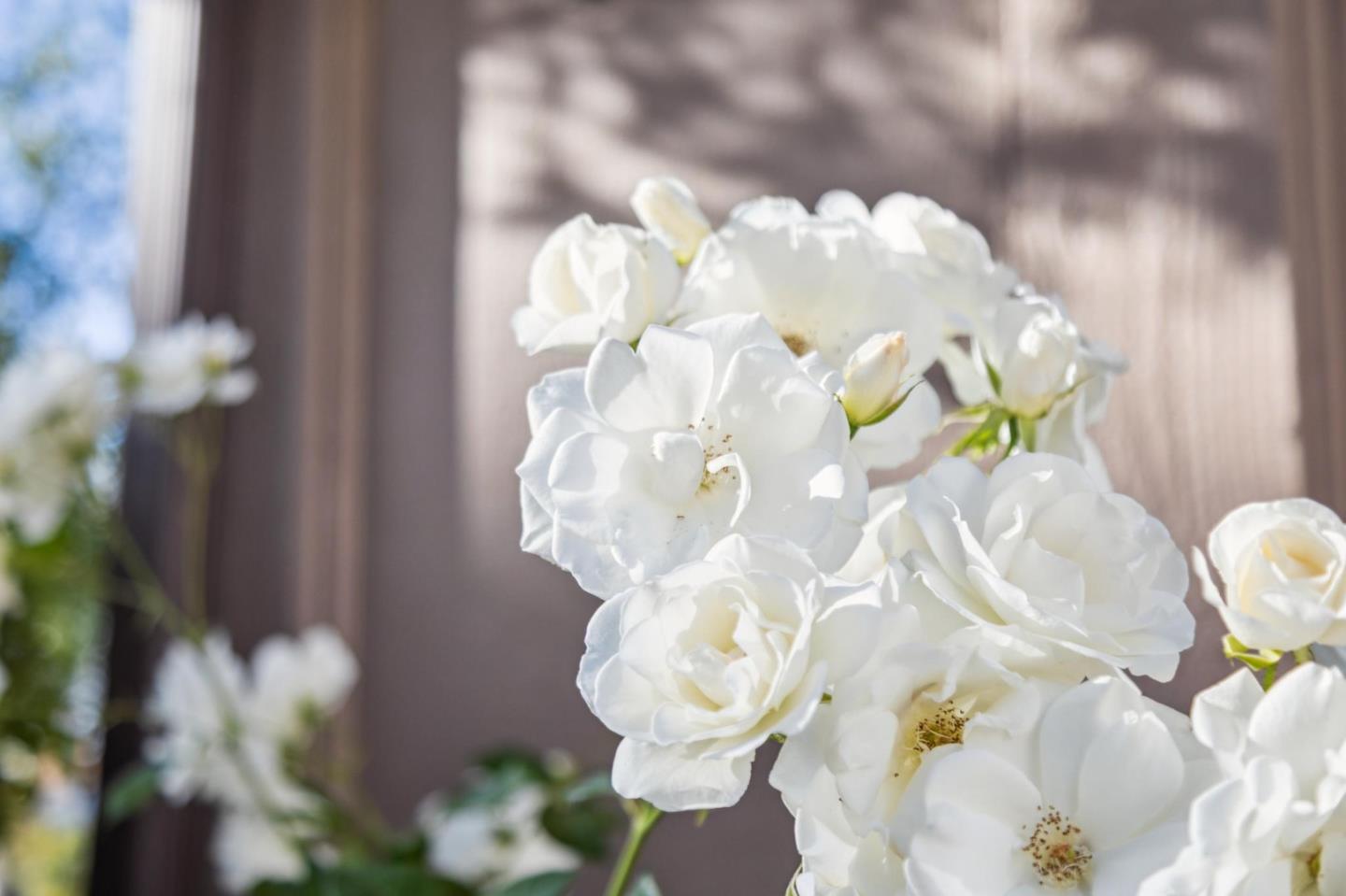 Detail Gallery Image 5 of 68 For 102 Calle Nivel, Los Gatos,  CA 95032 - 3 Beds | 2/1 Baths