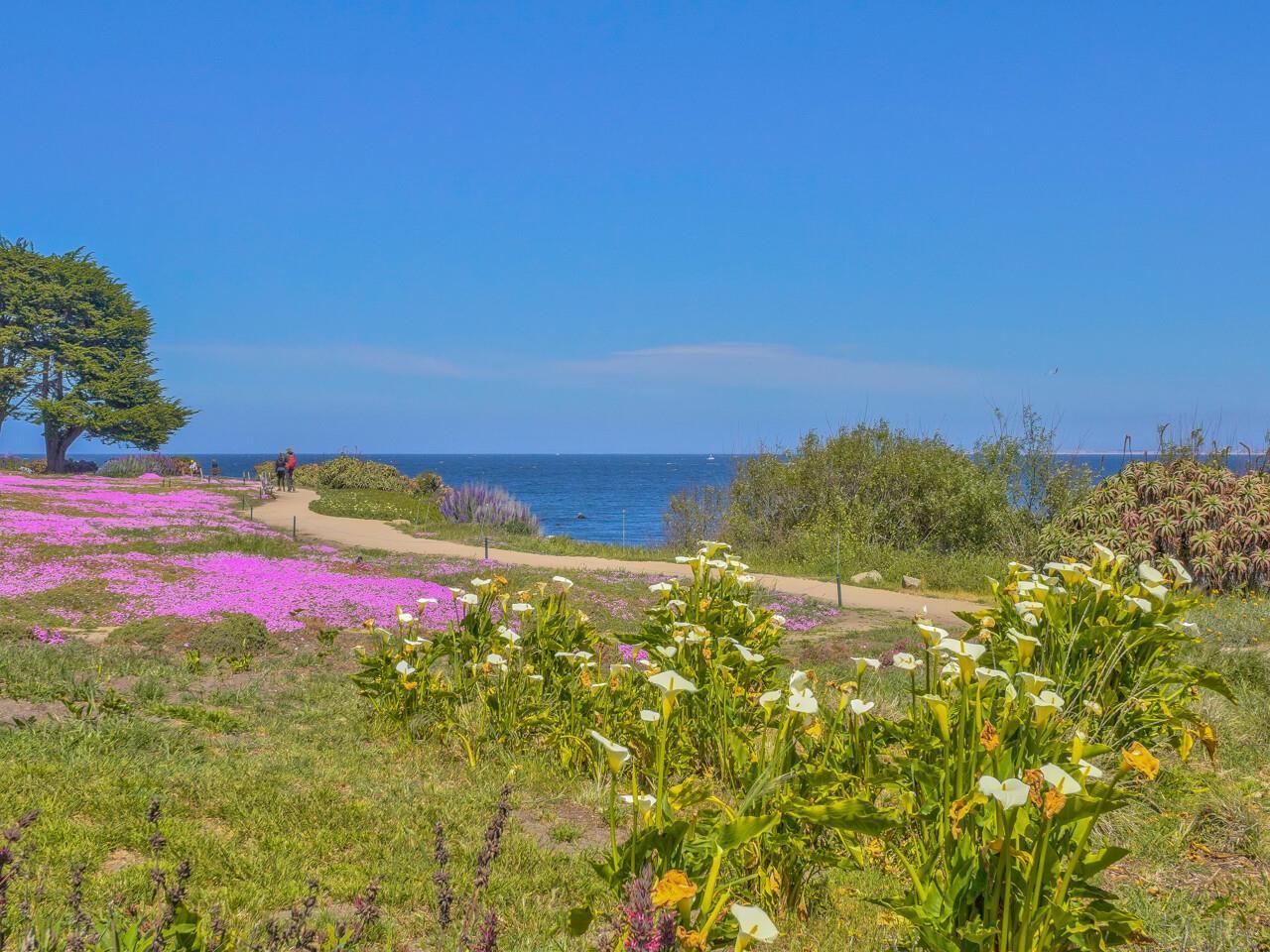 Detail Gallery Image 46 of 47 For 1022 Del Monte Blvd, Pacific Grove,  CA 93950 - 3 Beds | 2 Baths