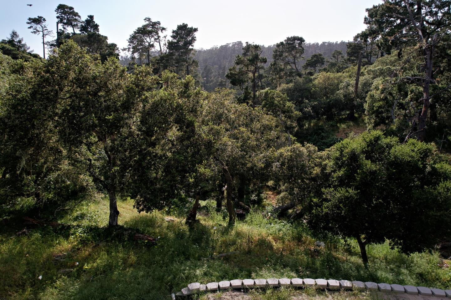Detail Gallery Image 7 of 10 For 24424 San Juan Rd, Carmel,  CA 93923 - – Beds | – Baths
