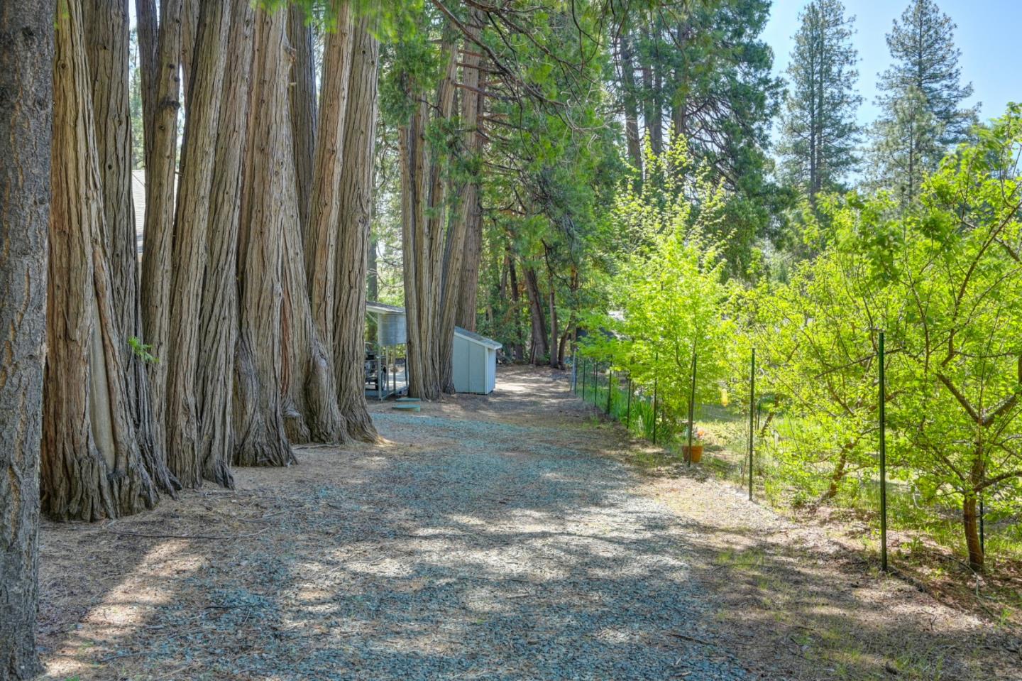 Detail Gallery Image 65 of 74 For 20000 Circle View Dr, Pioneer,  CA 95666 - 3 Beds | 2/1 Baths
