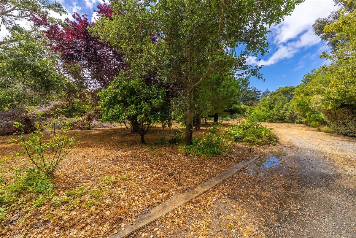 Detail Gallery Image 7 of 9 For 26440 via Mallorca, Carmel,  CA 93923 - – Beds | – Baths