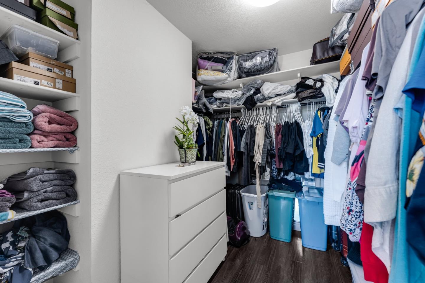 Detail Gallery Image 27 of 49 For 4438 Calypso Ter, Fremont,  CA 94555 - 4 Beds | 2/1 Baths