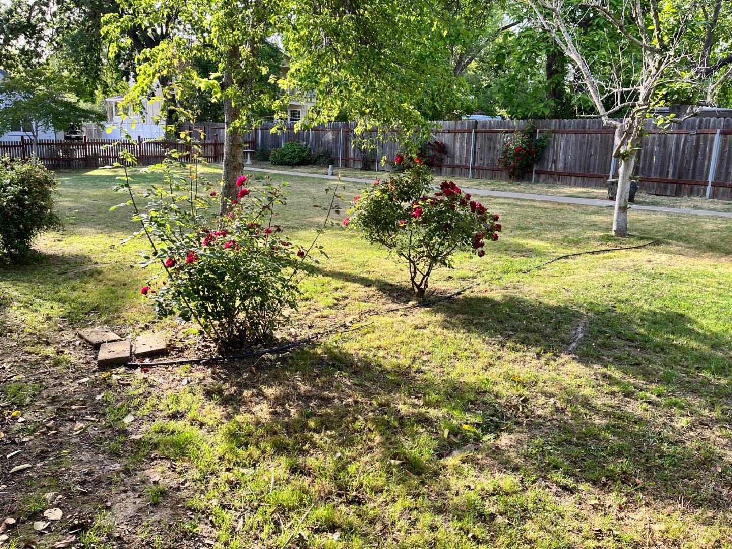 Detail Gallery Image 6 of 39 For 8480 Sunrise Blvd, Roseville,  CA 95661 - 3 Beds | 2 Baths
