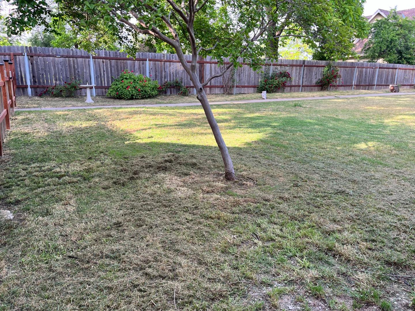 Detail Gallery Image 7 of 39 For 8480 Sunrise Blvd, Roseville,  CA 95661 - 3 Beds | 2 Baths