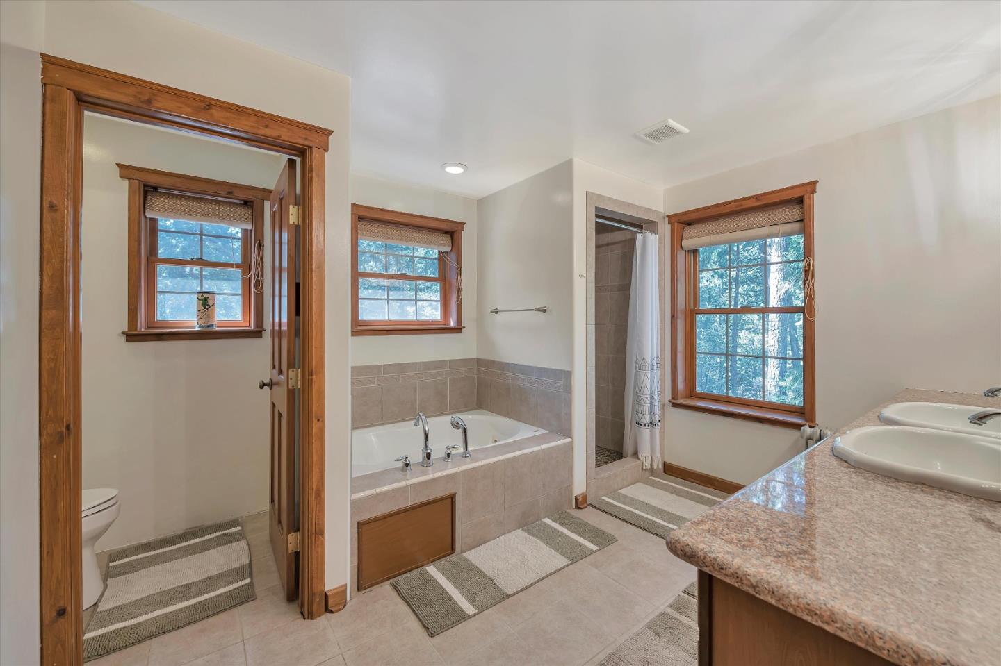 Detail Gallery Image 20 of 33 For 1312 Squaw Rock Trl, Kyburz,  CA 95720 - 4 Beds | 3 Baths