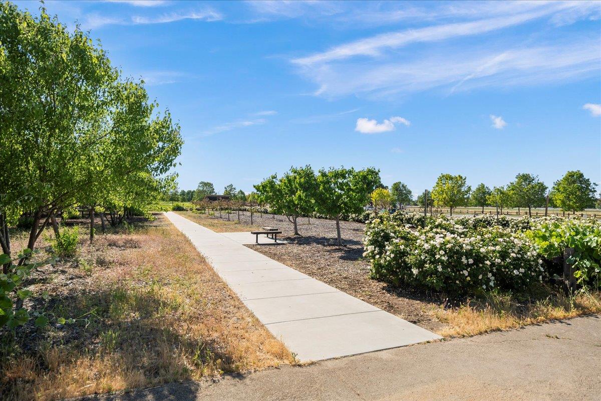 Detail Gallery Image 30 of 37 For 447 Colony Knoll Dr, San Jose,  CA 95123 - 2 Beds | 1 Baths