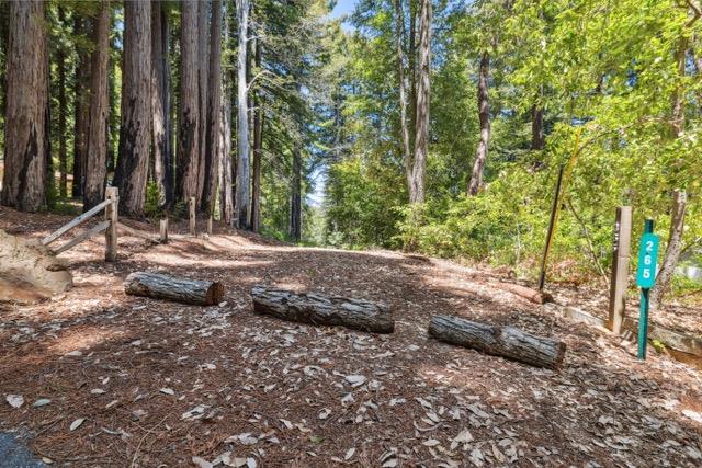 Detail Gallery Image 17 of 31 For 265 Sweetwater Ln, Ben Lomond,  CA 95005 - – Beds | – Baths