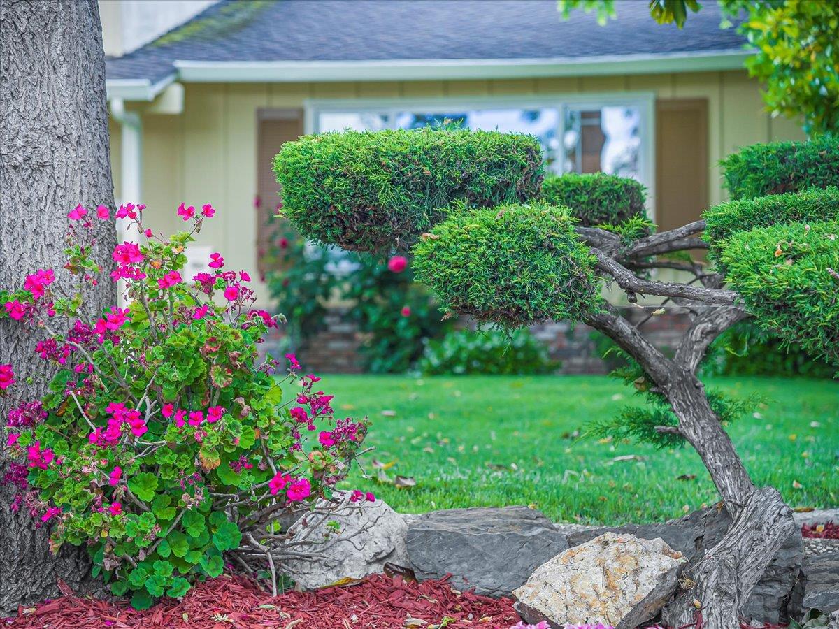 Detail Gallery Image 49 of 59 For 651 Starbush Dr, Sunnyvale,  CA 94086 - 4 Beds | 2/1 Baths