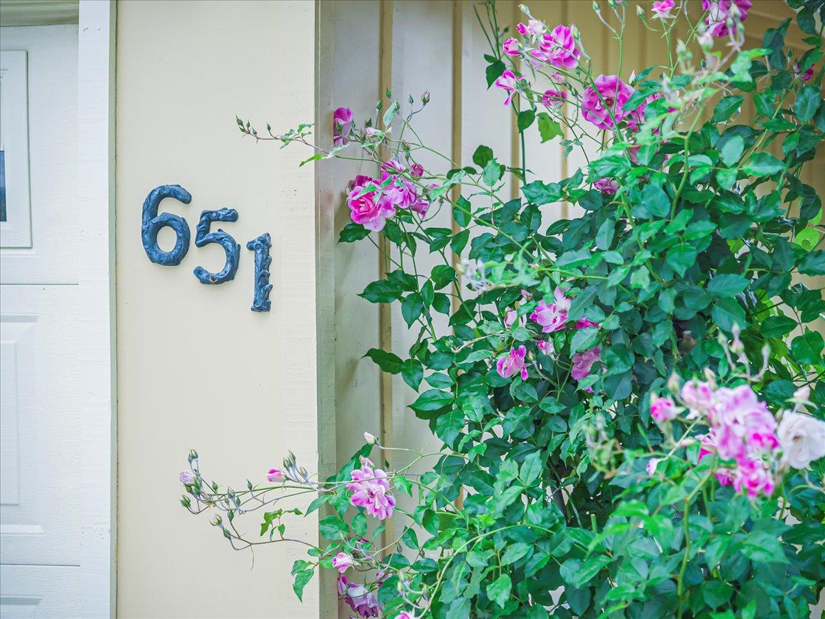 Detail Gallery Image 57 of 59 For 651 Starbush Dr, Sunnyvale,  CA 94086 - 4 Beds | 2/1 Baths