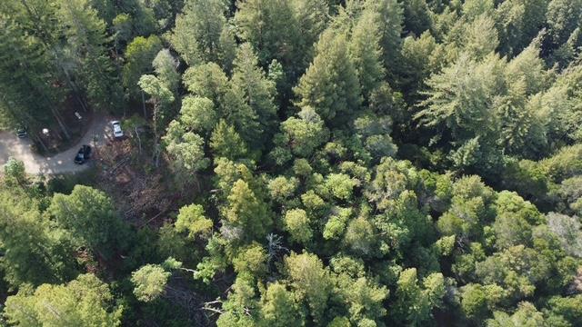 Detail Gallery Image 2 of 3 For 0 Idlewild St, Felton,  CA 95018 - – Beds | – Baths