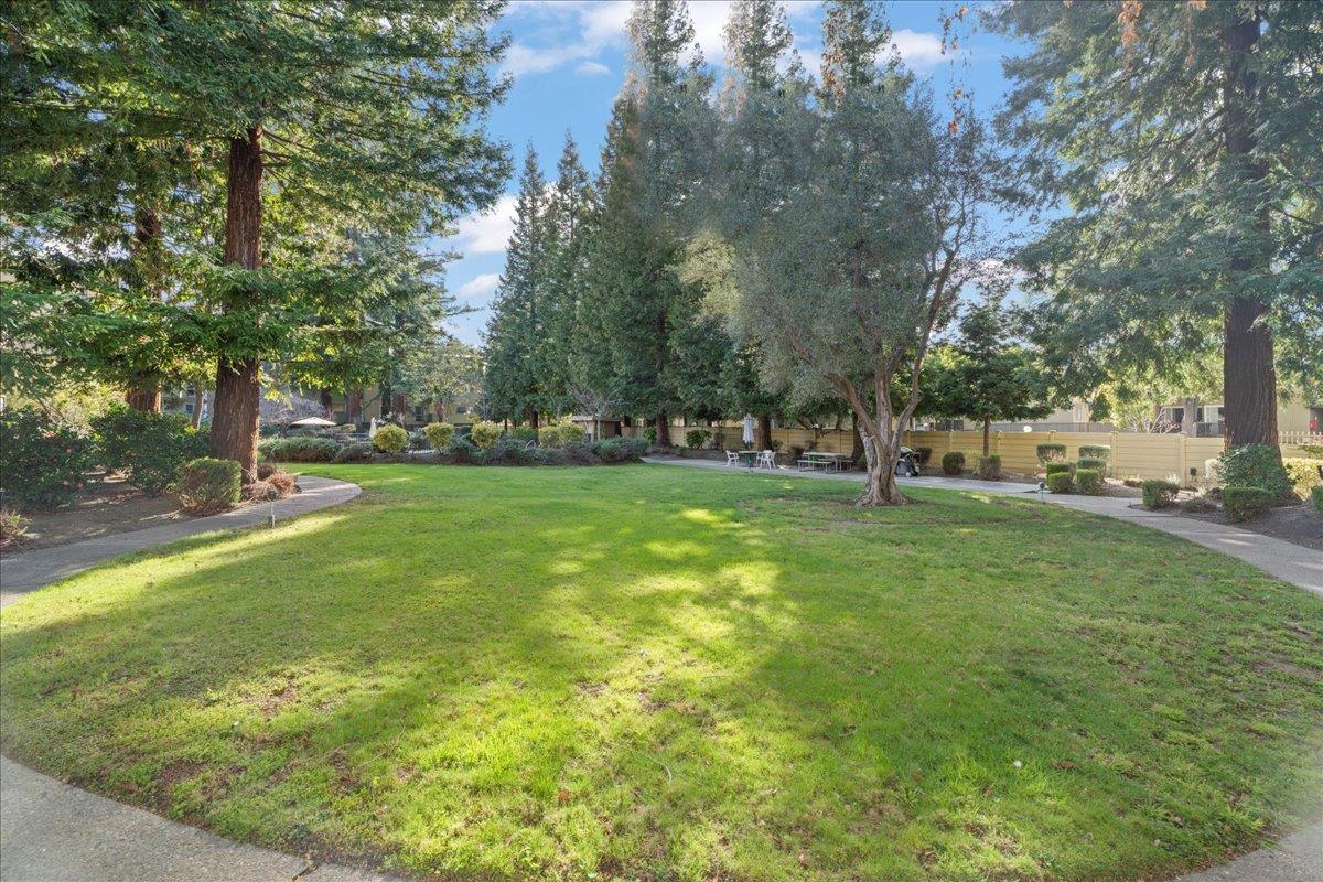 Detail Gallery Image 20 of 22 For 1031 Crestview Dr #101,  Mountain View,  CA 94040 - 1 Beds | 1 Baths