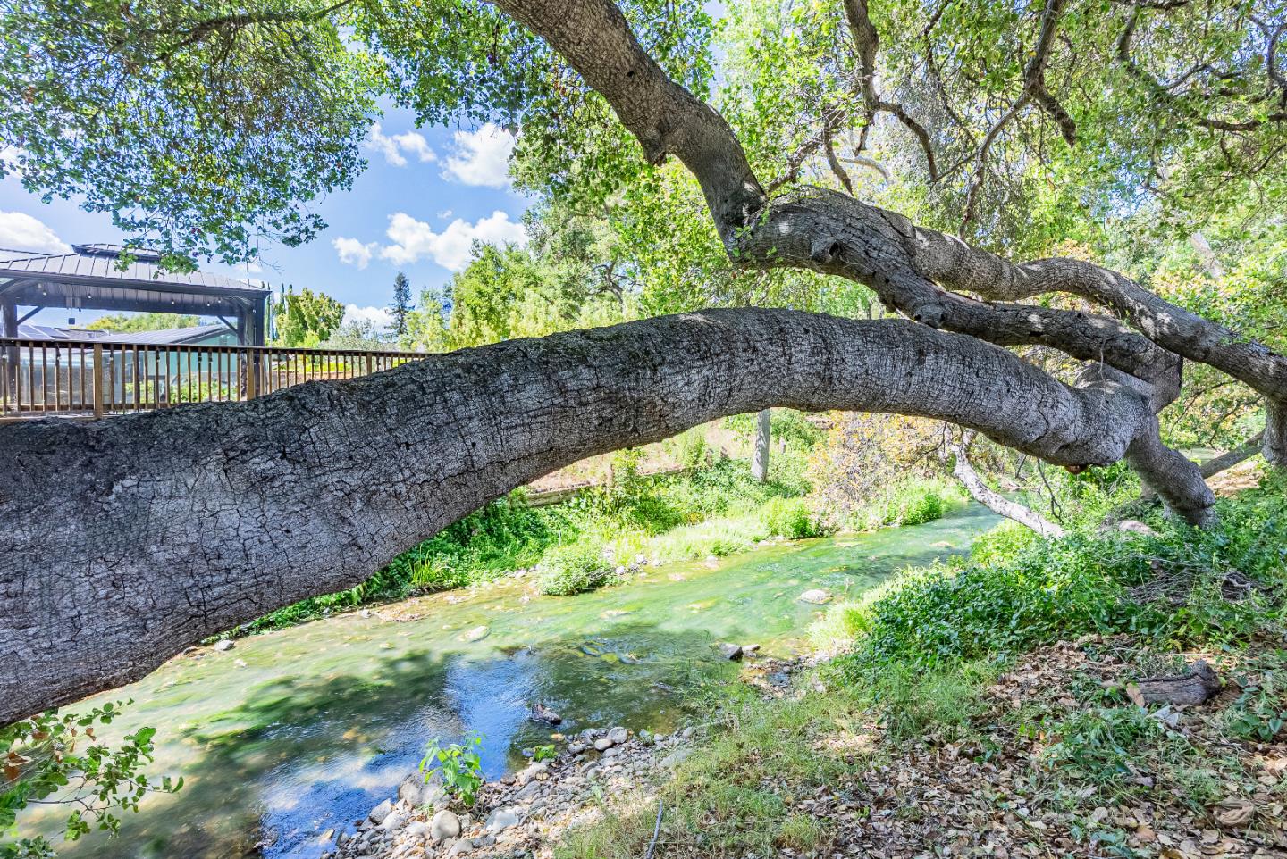 Detail Gallery Image 55 of 58 For 10421 Phar Lap Dr, Cupertino,  CA 95014 - 5 Beds | 3 Baths